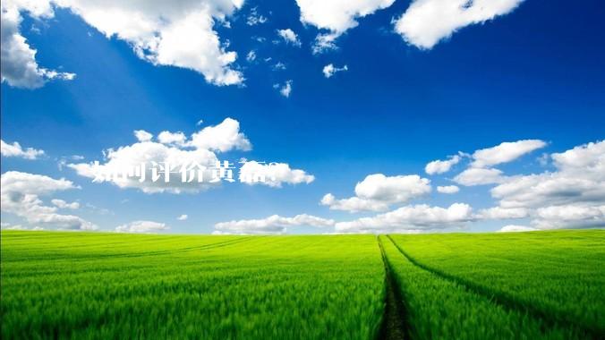 如何评价黄磊？
