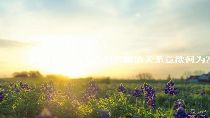 印度急着与上合组织撇清关系意欲何为？