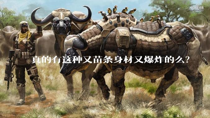 真的有这种又苗条身材又爆炸的么？
